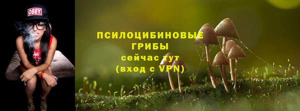 спиды Михайловск