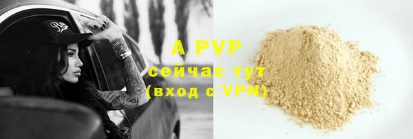 прущий лед Михайлов